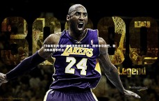 FB体育官网-勒沃库森连胜收官赛季，德甲争夺激烈，勒沃库森夏季转会